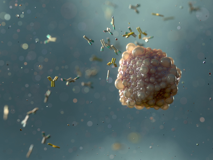 Illustration of antibodies attacking a virus, a key part of mucosal immunity.