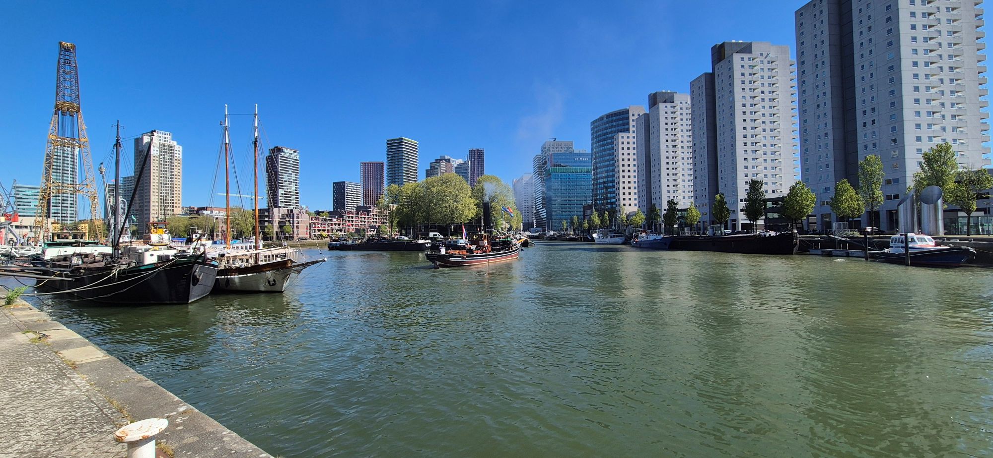 Photograph of the Nieuwe Maas river in Rotterdam which was the venue for the 2026 Annual Meeting. A steamboat is on the water and the city skyline in the background.