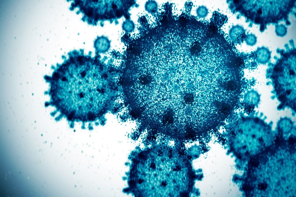 Computer graphic image of a virus as seen like through a microscope.