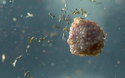 Illustration of antibodies attacking a virus.