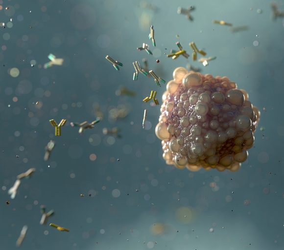 Illustration of antibodies attacking a virus.